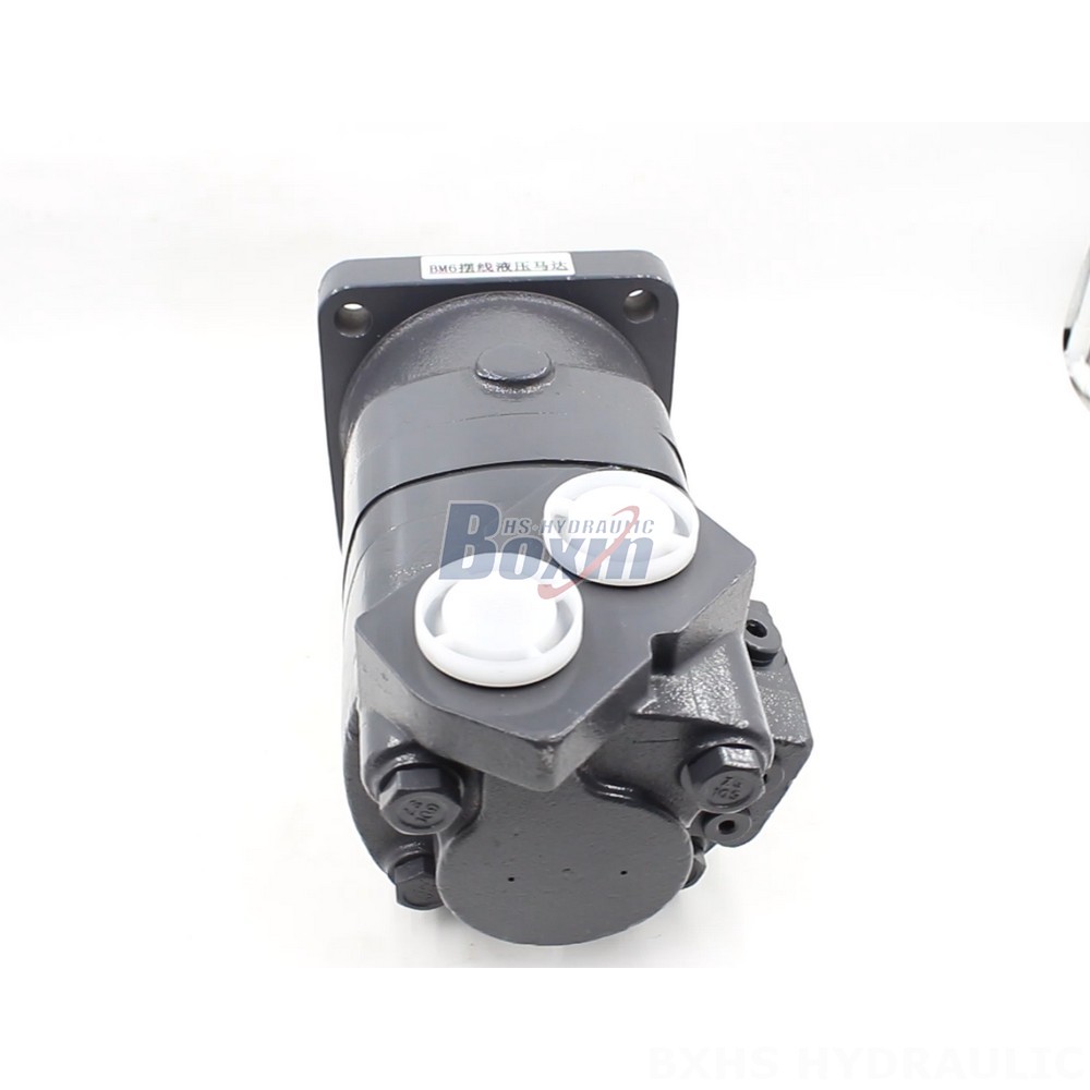 BM6 Cycloid Hydraulic Motor 195 cc/r 150 Lpm - Factory Direct Supply cover photo